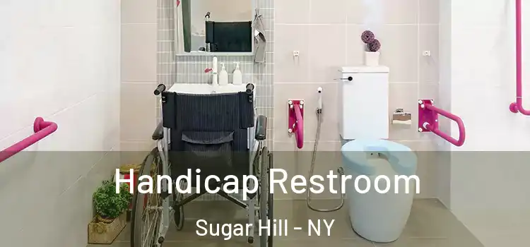  Handicap Restroom Sugar Hill - NY