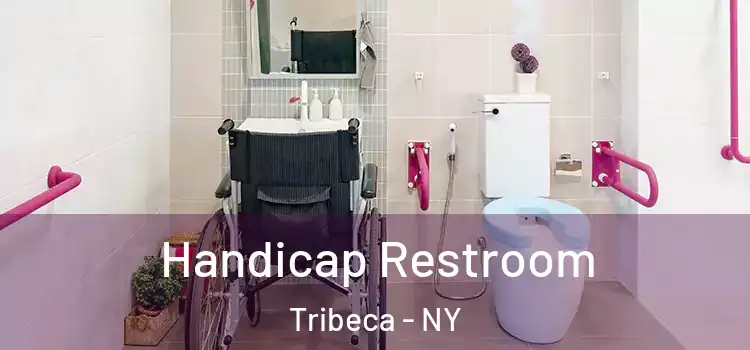  Handicap Restroom Tribeca - NY