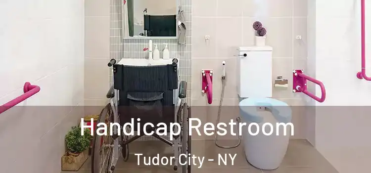  Handicap Restroom Tudor City - NY
