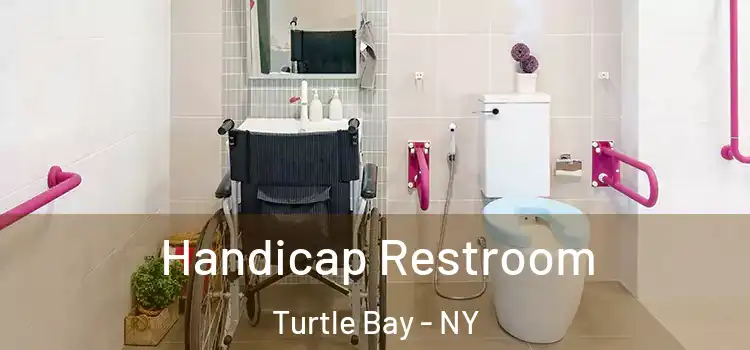 Handicap Restroom Turtle Bay - NY
