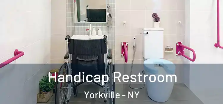  Handicap Restroom Yorkville - NY