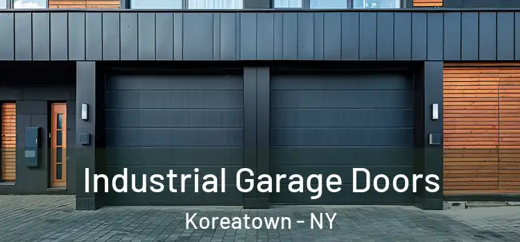  Industrial Garage Doors Koreatown - NY