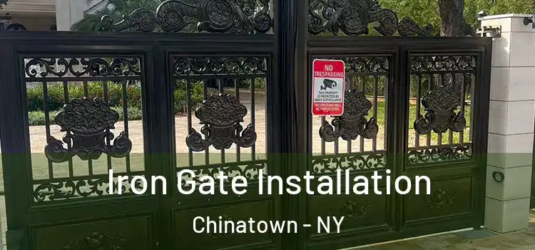  Iron Gate Installation Chinatown - NY