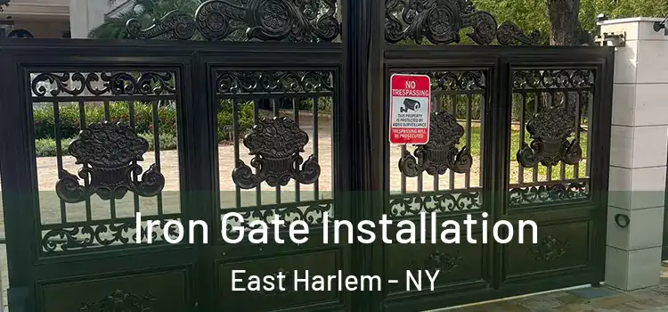  Iron Gate Installation East Harlem - NY