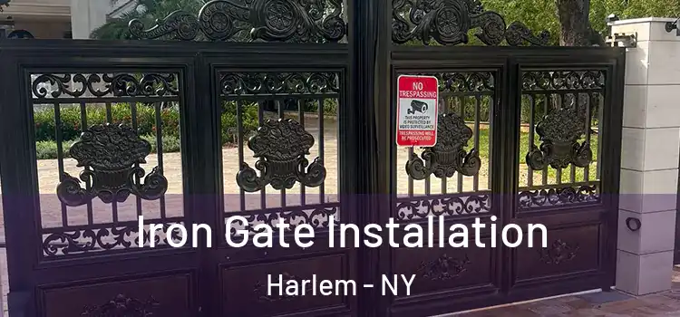  Iron Gate Installation Harlem - NY