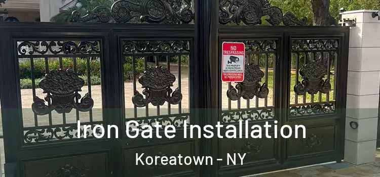 Iron Gate Installation Koreatown - NY