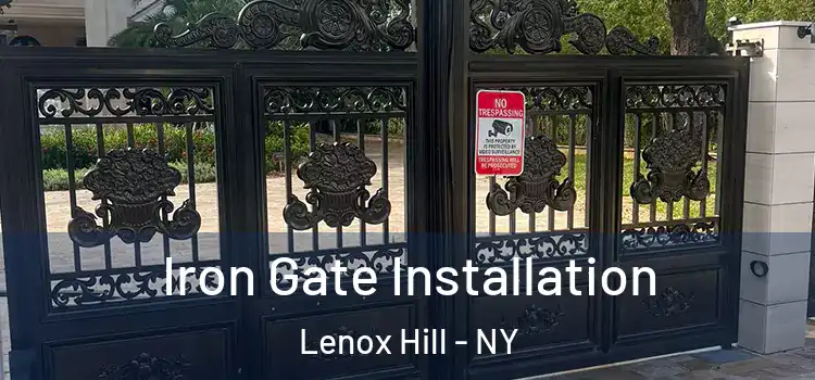  Iron Gate Installation Lenox Hill - NY