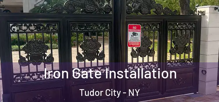  Iron Gate Installation Tudor City - NY