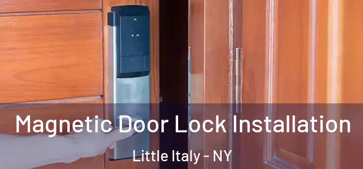 Magnetic Door Lock Installation Little Italy - NY