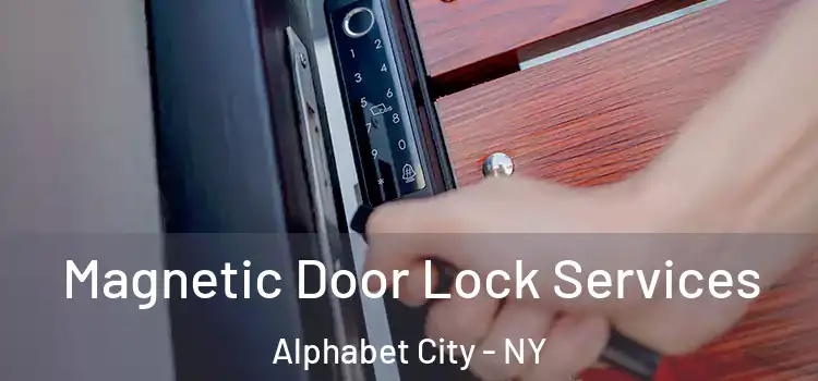  Magnetic Door Lock Services Alphabet City - NY