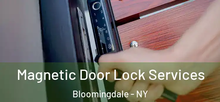  Magnetic Door Lock Services Bloomingdale - NY