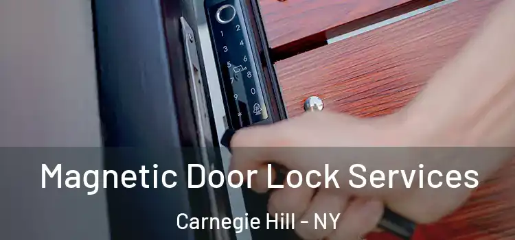  Magnetic Door Lock Services Carnegie Hill - NY