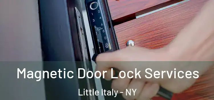  Magnetic Door Lock Services Little Italy - NY