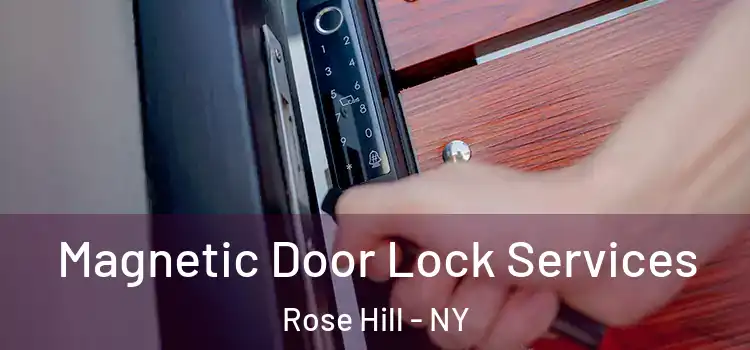 Magnetic Door Lock Services Rose Hill - NY