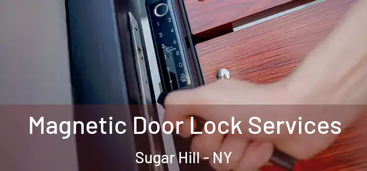 Magnetic Door Lock Services Sugar Hill - NY