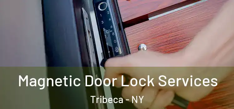  Magnetic Door Lock Services Tribeca - NY