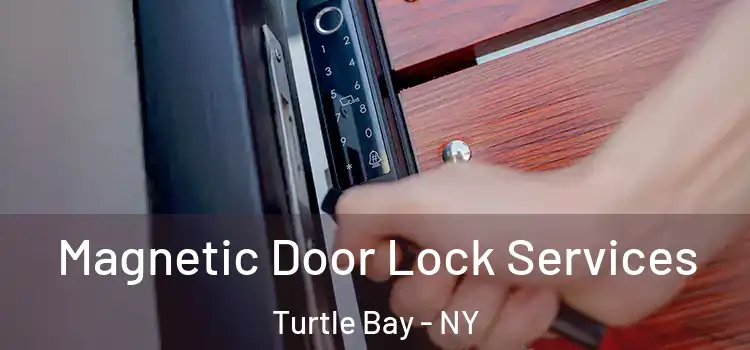 Magnetic Door Lock Services Turtle Bay - NY