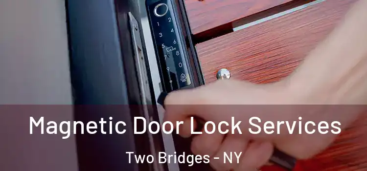 Magnetic Door Lock Services Two Bridges - NY