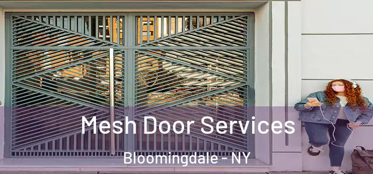  Mesh Door Services Bloomingdale - NY