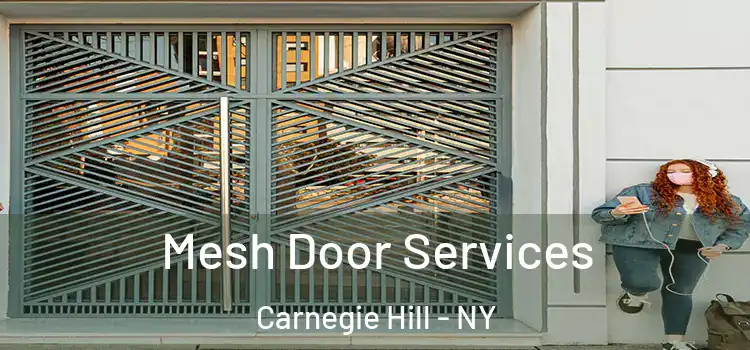  Mesh Door Services Carnegie Hill - NY