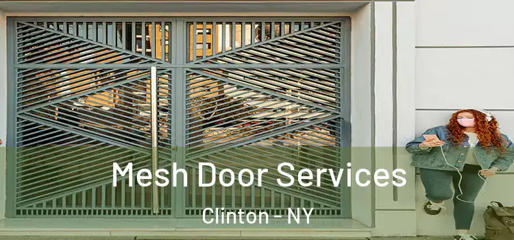  Mesh Door Services Clinton - NY