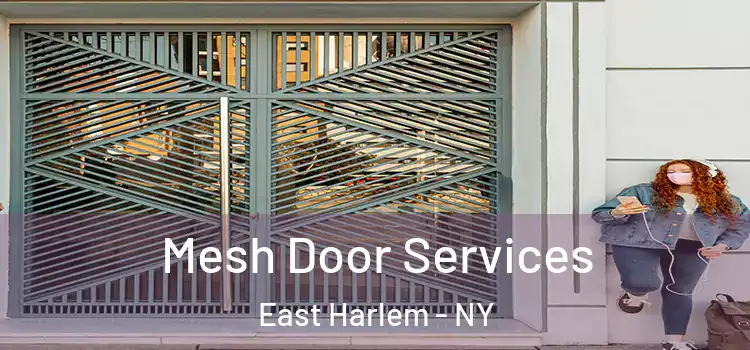  Mesh Door Services East Harlem - NY