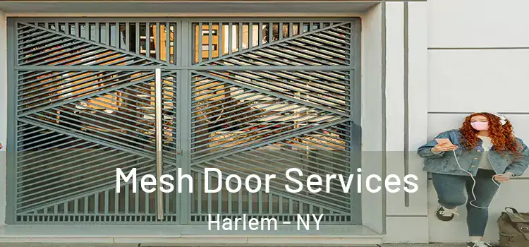  Mesh Door Services Harlem - NY