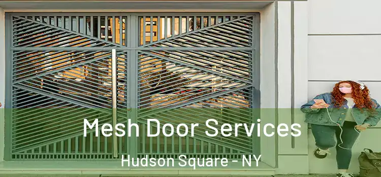  Mesh Door Services Hudson Square - NY