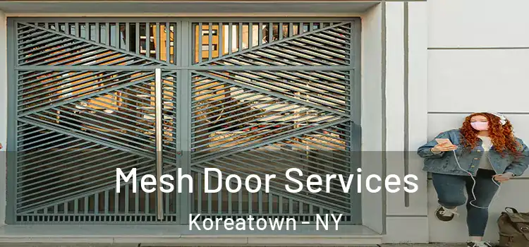  Mesh Door Services Koreatown - NY