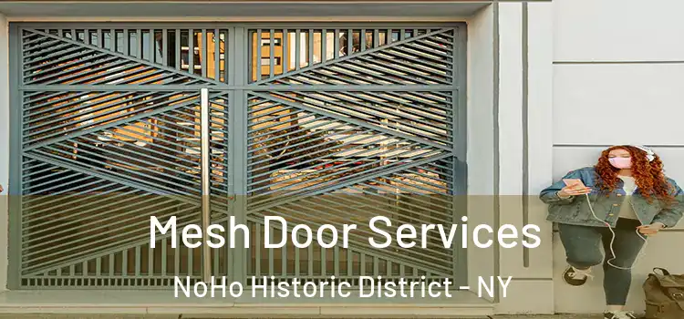  Mesh Door Services NoHo Historic District - NY