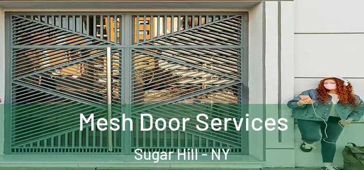 Mesh Door Services Sugar Hill - NY