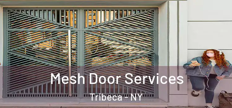  Mesh Door Services Tribeca - NY