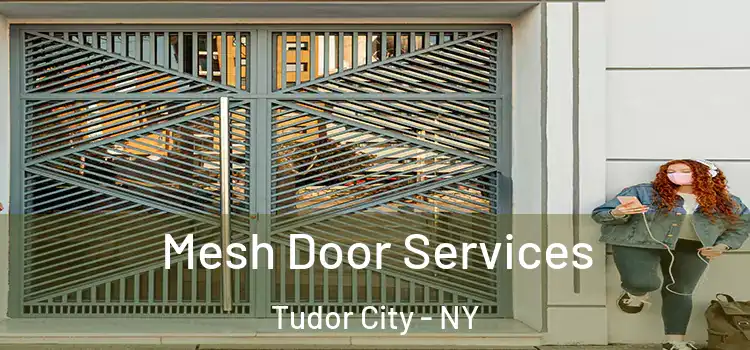  Mesh Door Services Tudor City - NY