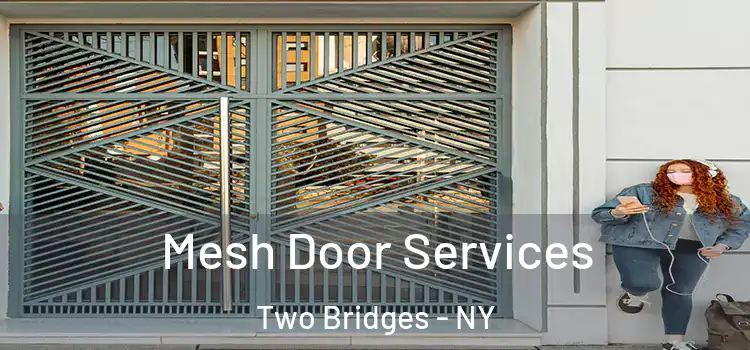  Mesh Door Services Two Bridges - NY