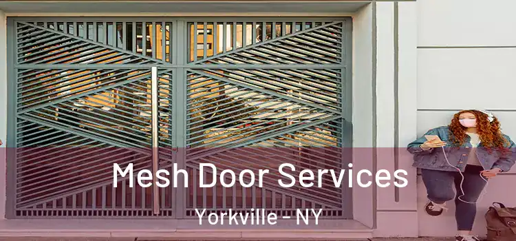  Mesh Door Services Yorkville - NY