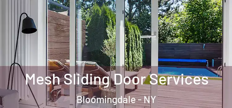 Mesh Sliding Door Services Bloomingdale - NY