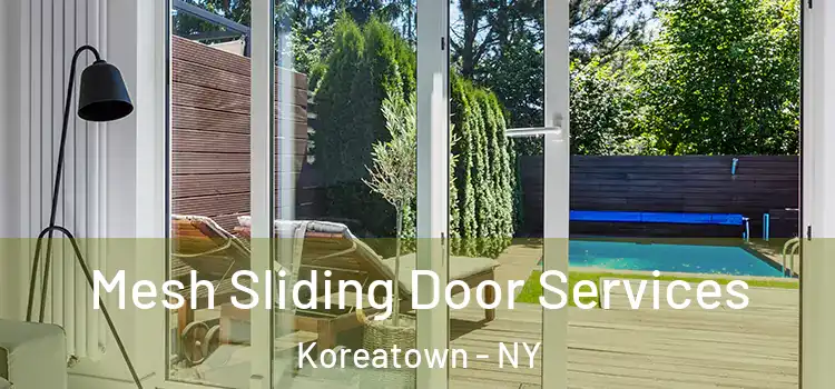  Mesh Sliding Door Services Koreatown - NY
