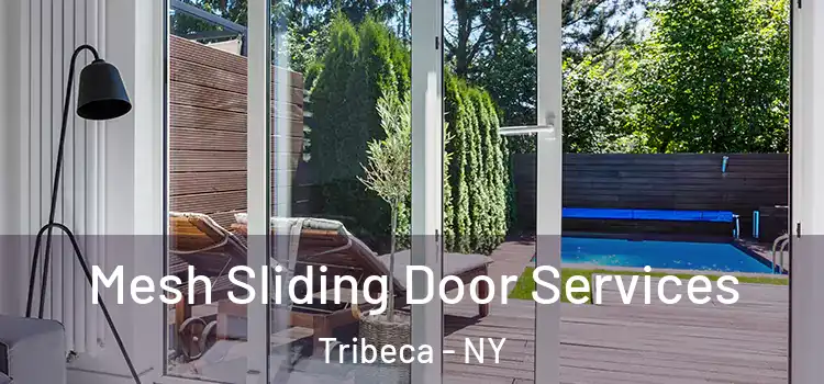 Mesh Sliding Door Services Tribeca - NY