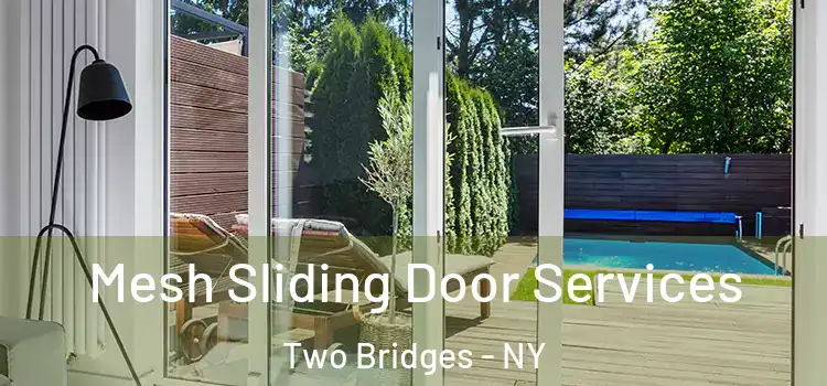  Mesh Sliding Door Services Two Bridges - NY