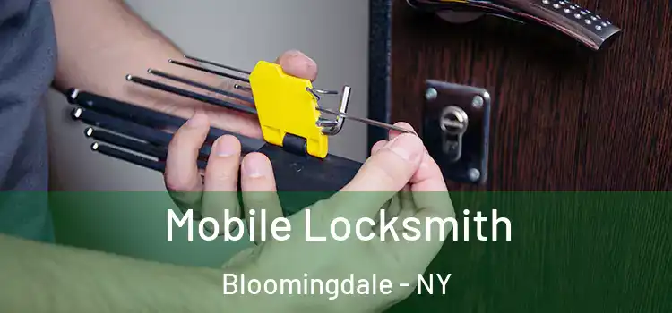  Mobile Locksmith Bloomingdale - NY