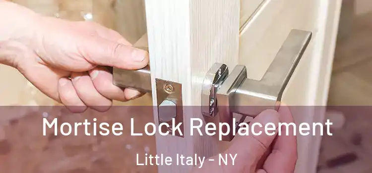  Mortise Lock Replacement Little Italy - NY