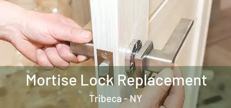  Mortise Lock Replacement Tribeca - NY