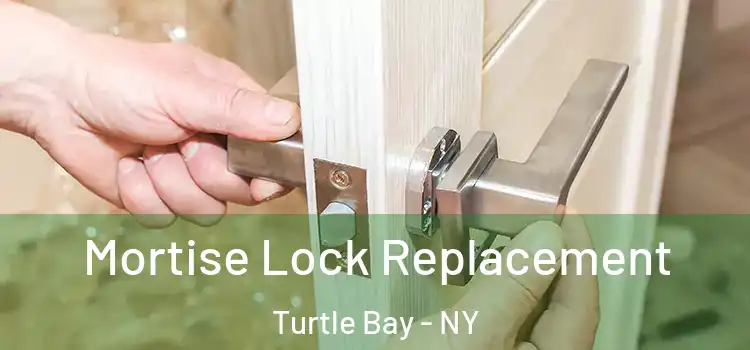  Mortise Lock Replacement Turtle Bay - NY