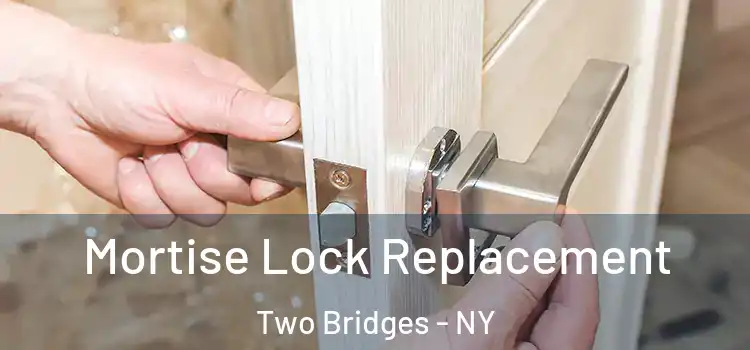  Mortise Lock Replacement Two Bridges - NY