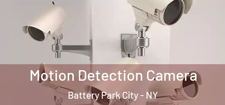  Motion Detection Camera Battery Park City - NY