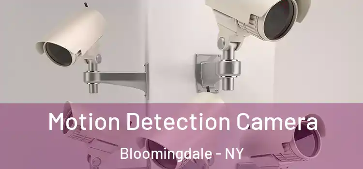  Motion Detection Camera Bloomingdale - NY