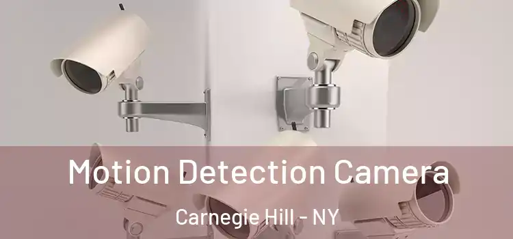  Motion Detection Camera Carnegie Hill - NY