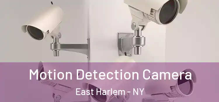  Motion Detection Camera East Harlem - NY