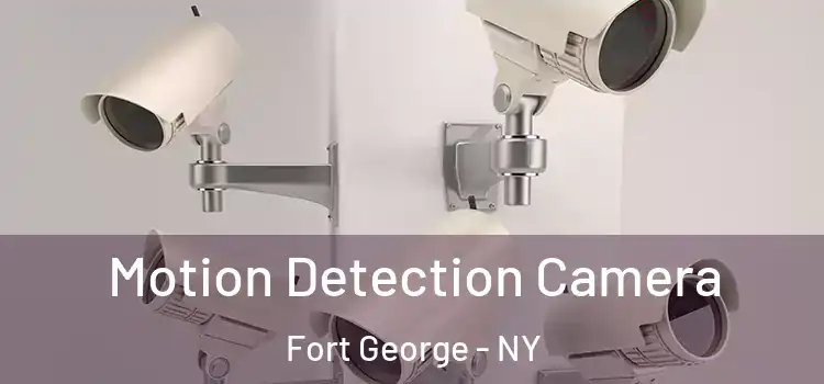  Motion Detection Camera Fort George - NY