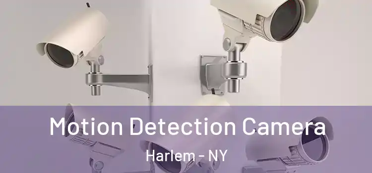  Motion Detection Camera Harlem - NY